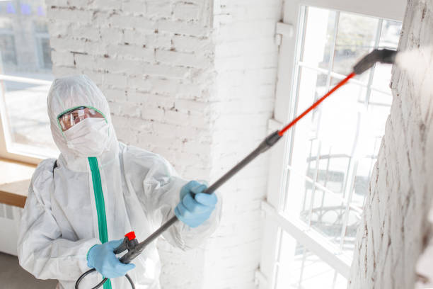 Best Post-Remediation Verification Testing  in Port Oconnor, TX