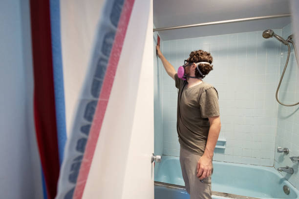 Port Oconnor, TX Mold Removal Company