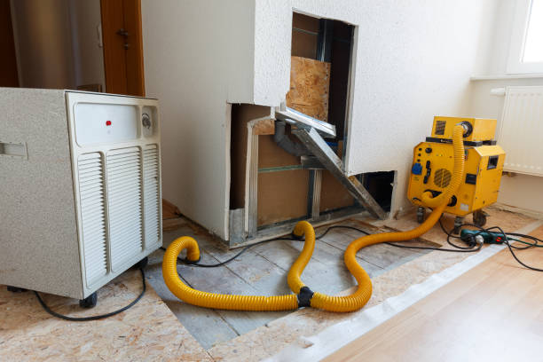 Best HVAC Mold Inspection and Cleaning  in Port Oconnor, TX
